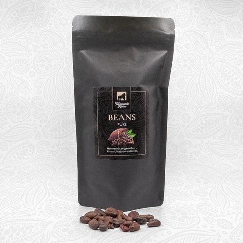 Cacao Beans